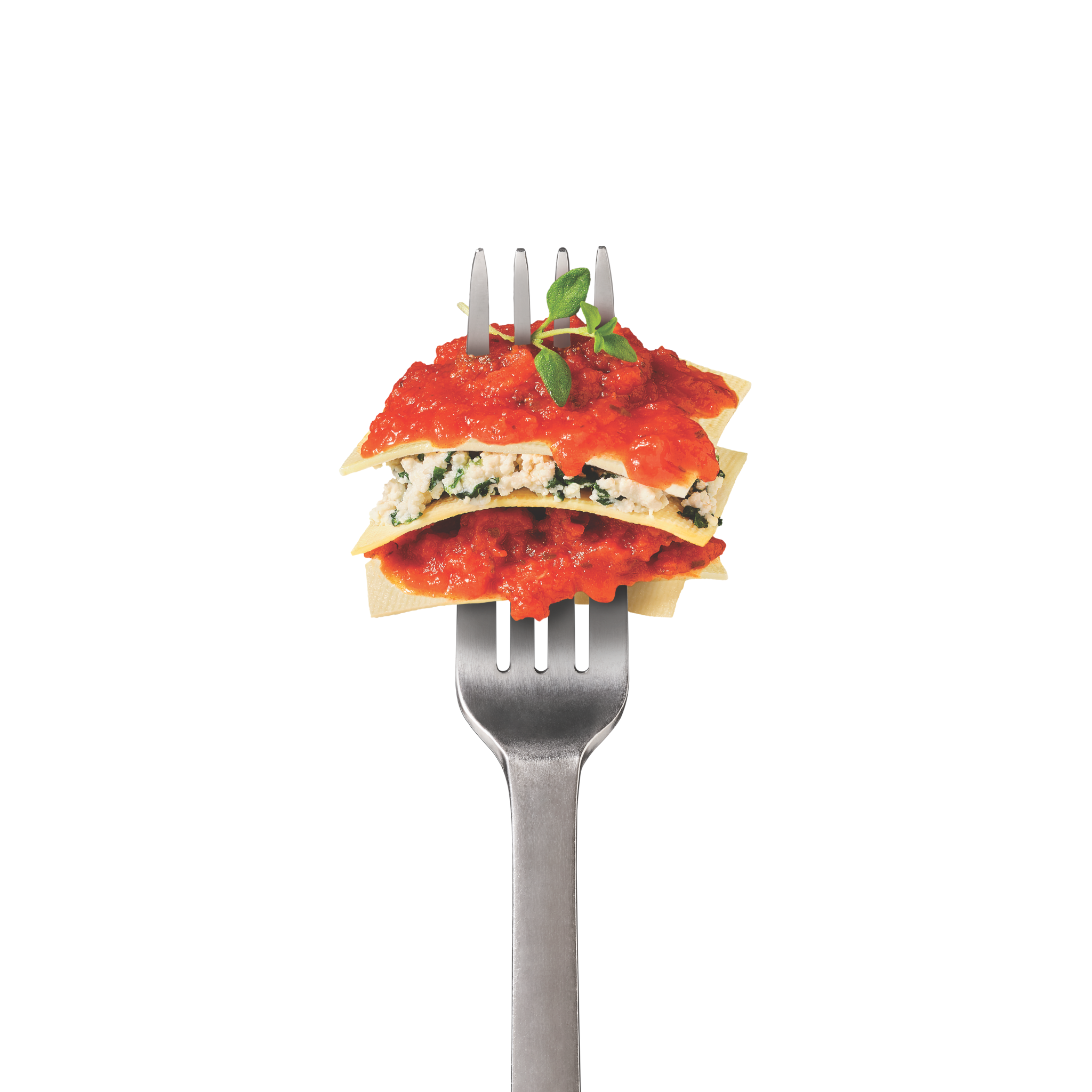Lasagnes aux Nouilles de Soya